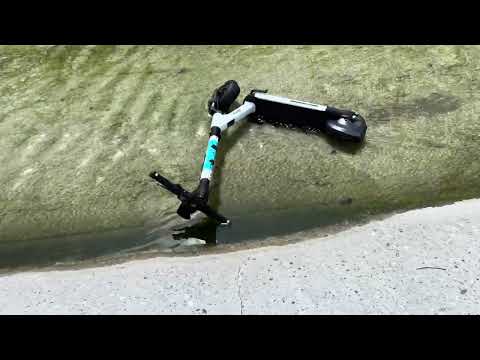 Trash Digging On The La River