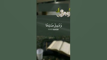 ارح قلبك من ضجيج الدنيا || تلاوة عذبة تريح قلبك