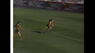 Famous North Melbourne VS Hawthorn 1988 John Platten Jason Dunstall Wealth