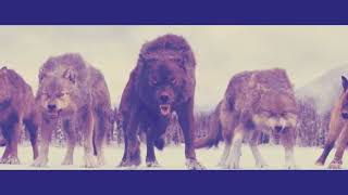 Twilight~A Thousand Years