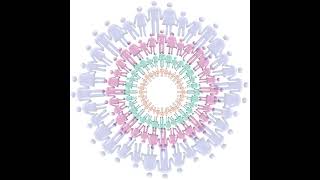 Microskills: Reflection of Meaning