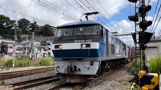 花月園前踏切にて、JR貨物EF210形100番台137号機+コキ24B 通過シーン
