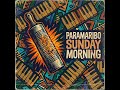 🎼 Sranan Flow (The Heartbeat of Paramaribo)
