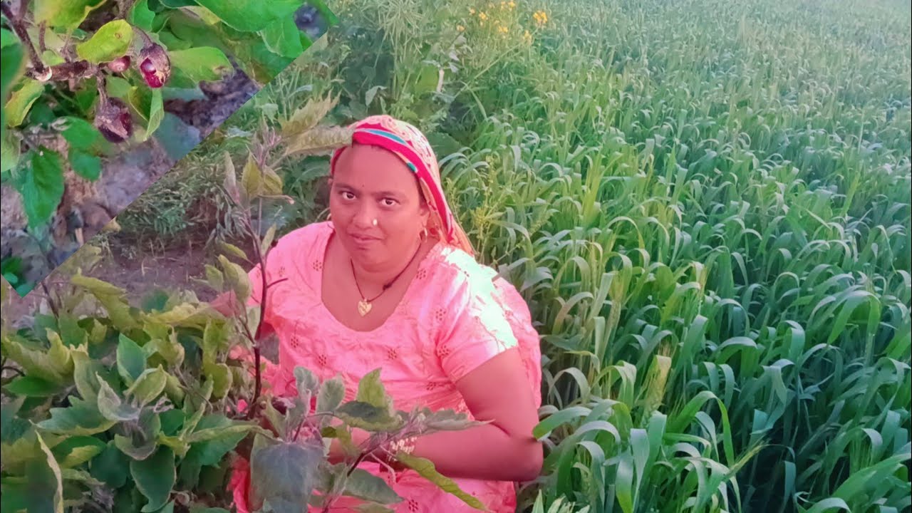 🤔 क्या करें 