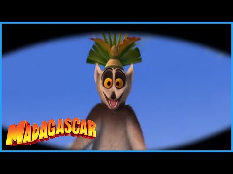 DreamWorks Madagascar | Best of the Lemurs | Madagascar Movie Clip