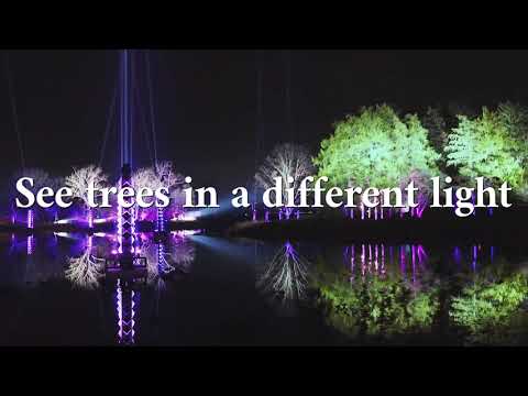 Illumination: Tree Lights at The Morton Arboretum - video from Morton Arboretum