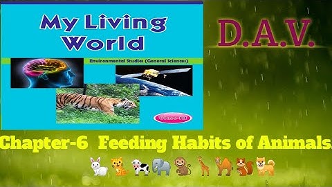 DAV🏫 Class-III📗 Science 📙Chapter-6 Feeding Habits of Animals 🐕🐪🦒🐘 ...