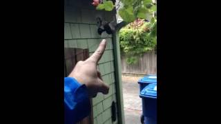 In this video we show how to use a simple counterweight to close a gate.