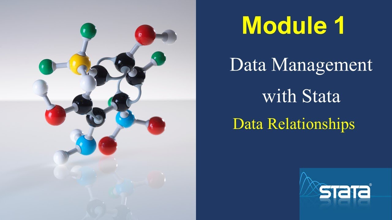 Understanding Data Relationships - YouTube