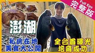 【澎湖】在地美食不吃會遺憾｜日本琉球粿澎湖黑糖糕/全世界唯一手作麵線/丁香魚產地/全台第一養殖成功馬爾地夫石斑/澎湖美食大推薦《世界第一等》1022集完整版Taiwan EP.1022 EngSub