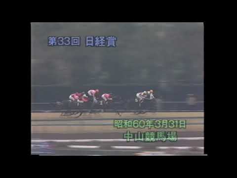 シンボリルドルフ 1985年 第33回日経賞(GII) (優勝馬：シンボリルドルフ)