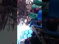 مايقوما سوق ليبيا