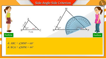 SAS criterion of similar triangles | Part1/2 | English | Class10