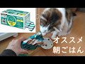 オススメのキャットフード【ピュリナ ワン キャットフード 避妊・去勢した猫の体重ケア 子ねこから全ての年齢に ターキー 4.4kg】