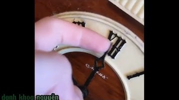 Every cuckoo clock chimes  part 6 :// (Linus bro)