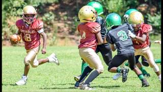 Braylon (BEAMEN) Miller 8U Georgia Seminoles Highlight Video 2017