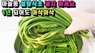 마늘쫑은 무조건 많이 사오셔서 이렇게 드세요✅이렇게 해 놓으면 매일매일 행복하고 건강합니다/마늘쫑요리