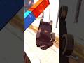 thar is fire || Indian bike driving 3d short#viral#youtubeshorts