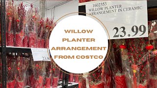 2023 Lunar New Year Pussy Willow Lucky plant decoration from Costco! screenshot 4