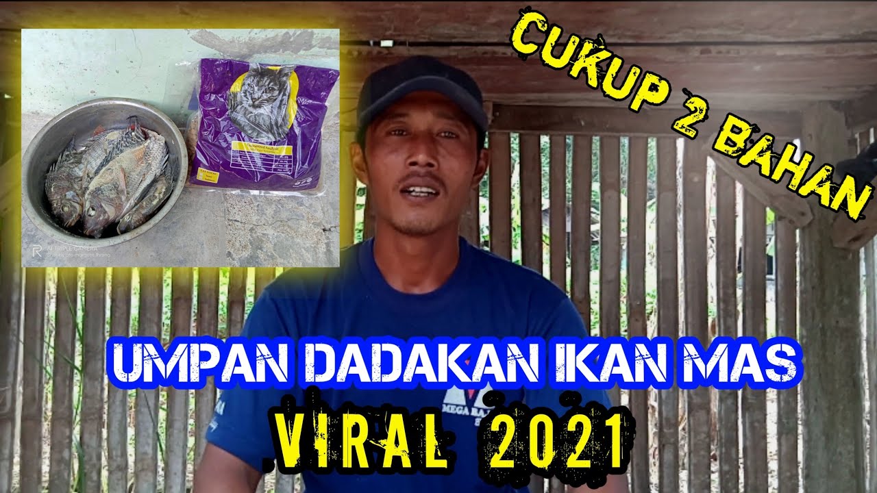 RACIKAN UMPAN IKAN MAS DADAKAN VIRAL | TERBARU 2021