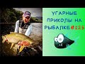 Приколы на Рыбалке 2021 до слез / Неудачи на Рыбалке / Новые Приколы на Рыбалке / Рыбалка / Fishing