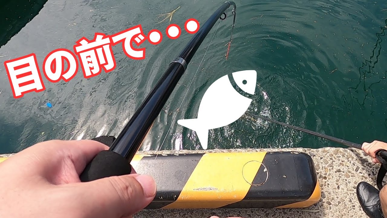 青物が沸く堤防に、釣った小アジを泳がせると・・・。大物キタッ！？