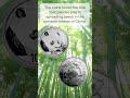 Collecting Chinese Silver Panda Coins