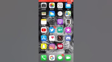 Profile Screen Recording iOS