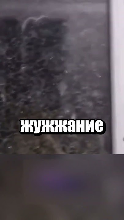 Tорнадо из комаров - YouTube