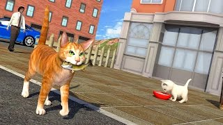 Street Cat Sim 2016 (by Tapinator Inc) Android Gameplay [HD] screenshot 4