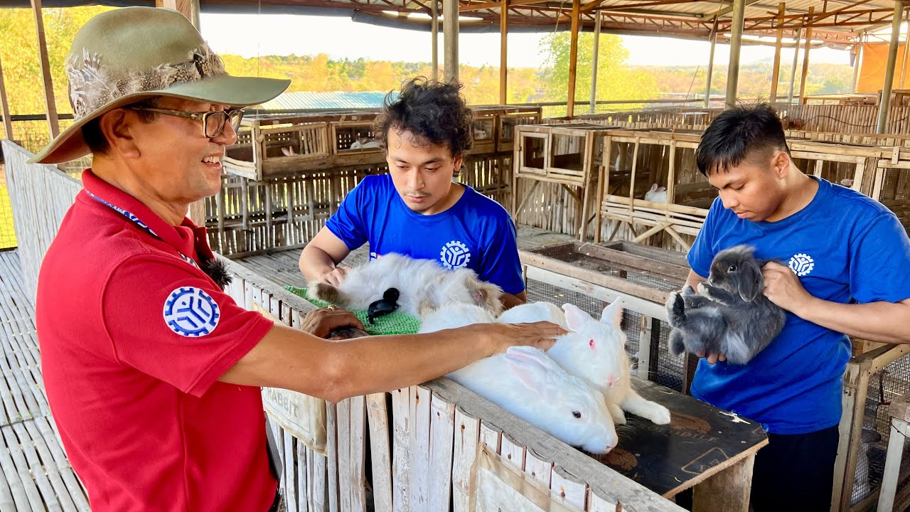 RABBIT Farming, Kasama rin sa Animal Production Ruminants National