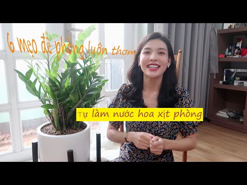 Video: 3 cách để làm cho căn phòng có mùi thơm tươi mới