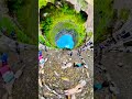 Waterfall #waterfall #waterfalls #naturelovers #nature #outdoors #viral #insta360 #subscribe #pov