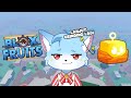 Lanjut Grinding Dan Naikin Mastery, Teori Gacha Buah Di Blox Fruit !!!