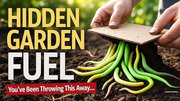 The Cardboard Trick That Supercharges Soil and Feeds Gardens for FREE!