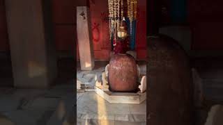 har har mahadev # Bam Bam bhole #jai siv Shankar#Jay Bholenath#share