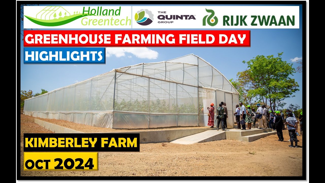 Holland Greentech Zambia Greenhouse Farming Field Day @ Kimberley Farm | 2024 Oct | Highlights