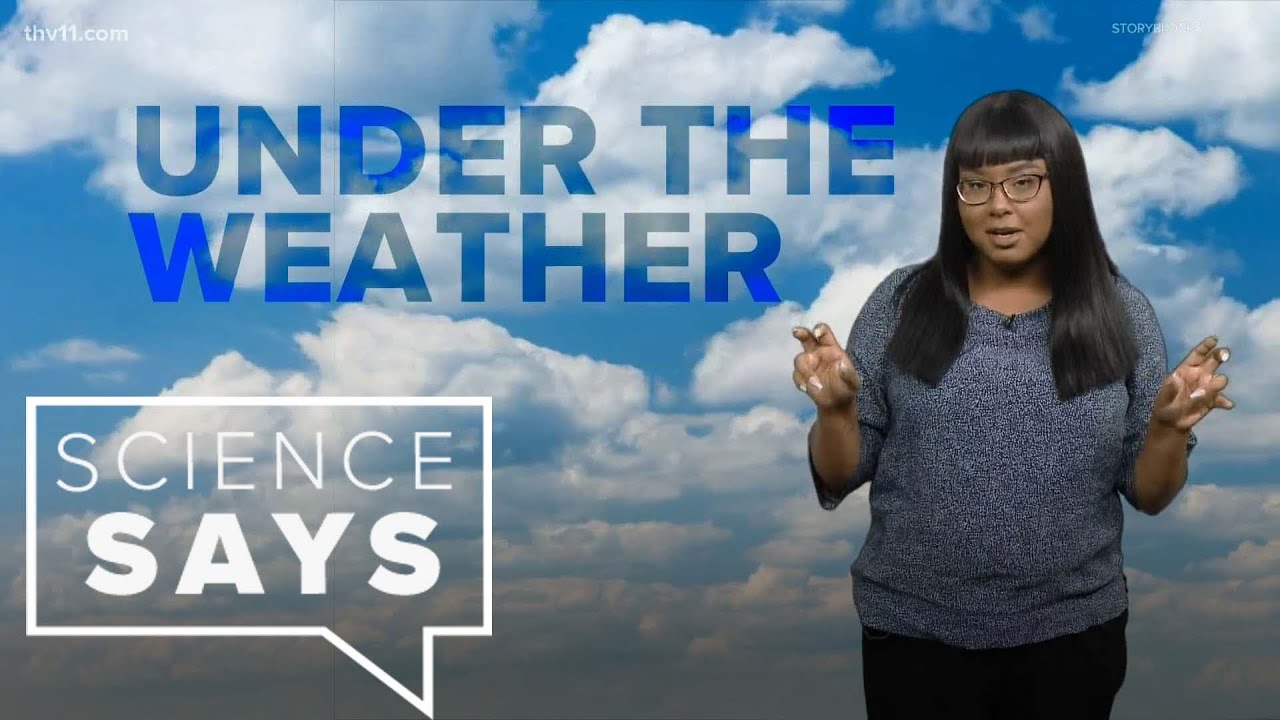 Weather catchphrases & Dog Days of Summer Science Says YouTube