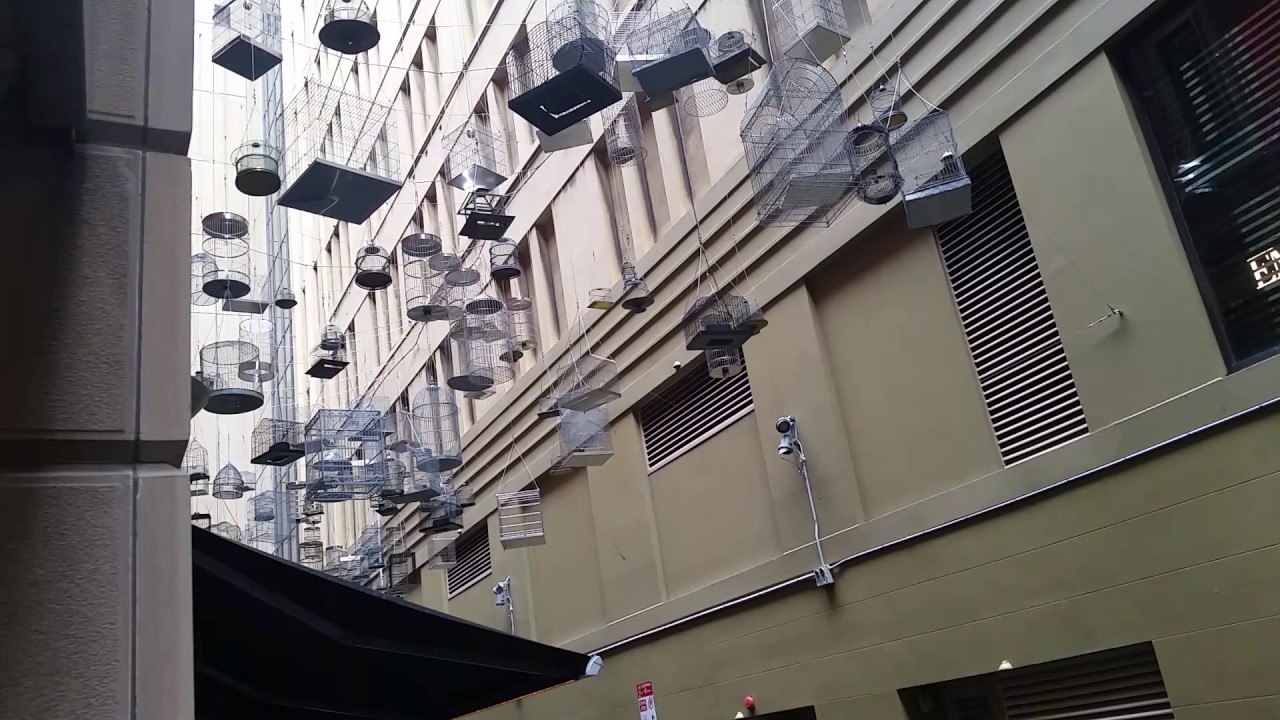 The Angel Place Birdcages Art Exhibit Reminder of the Birds that Used