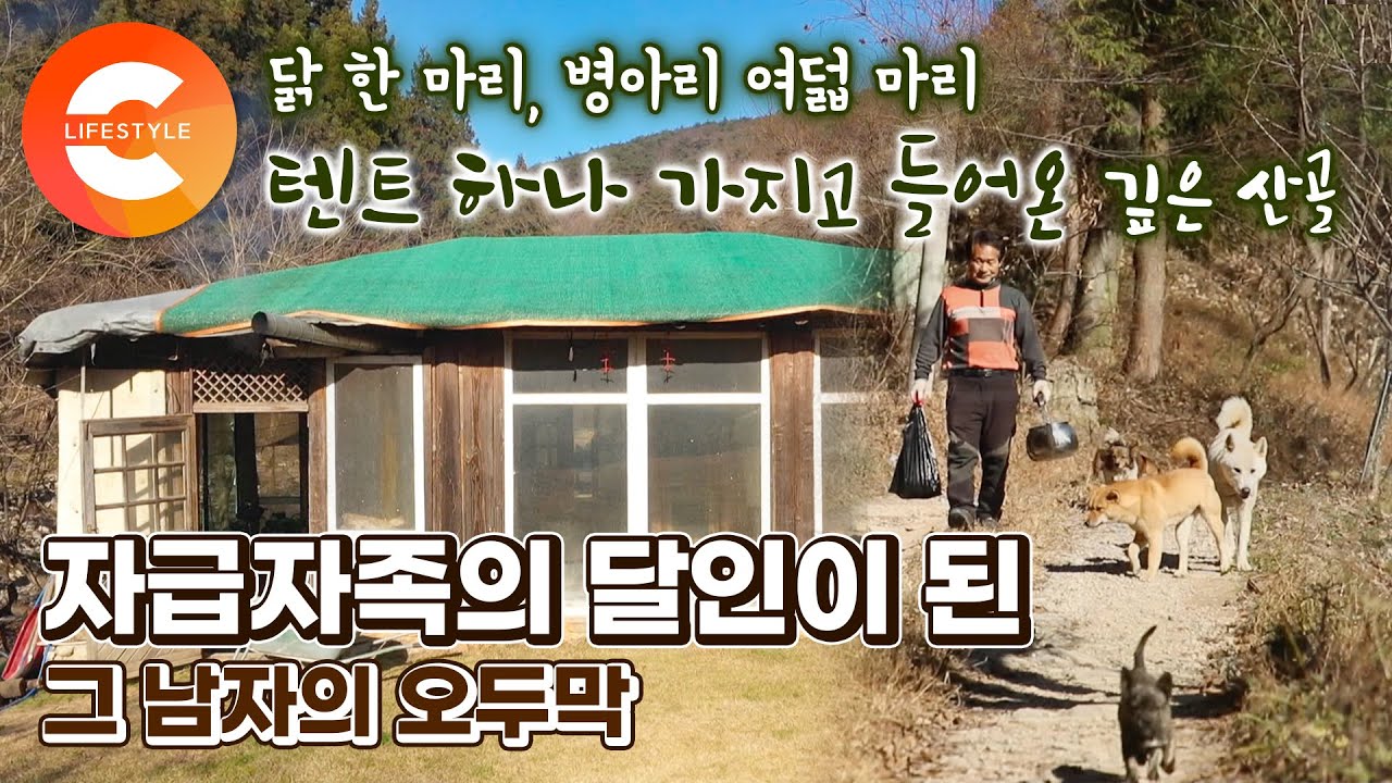택시운전사, 목수, 포장마차를 하며 보낸 젊은 세월은 안녕🚖 텐트 하나 가지고 황무지 같던 산골에 들어와 집을 지은 남자의 자급자족 전원일기