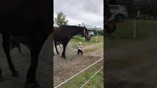Cute little girl leads horse outdoors ❤ | Viral Hog