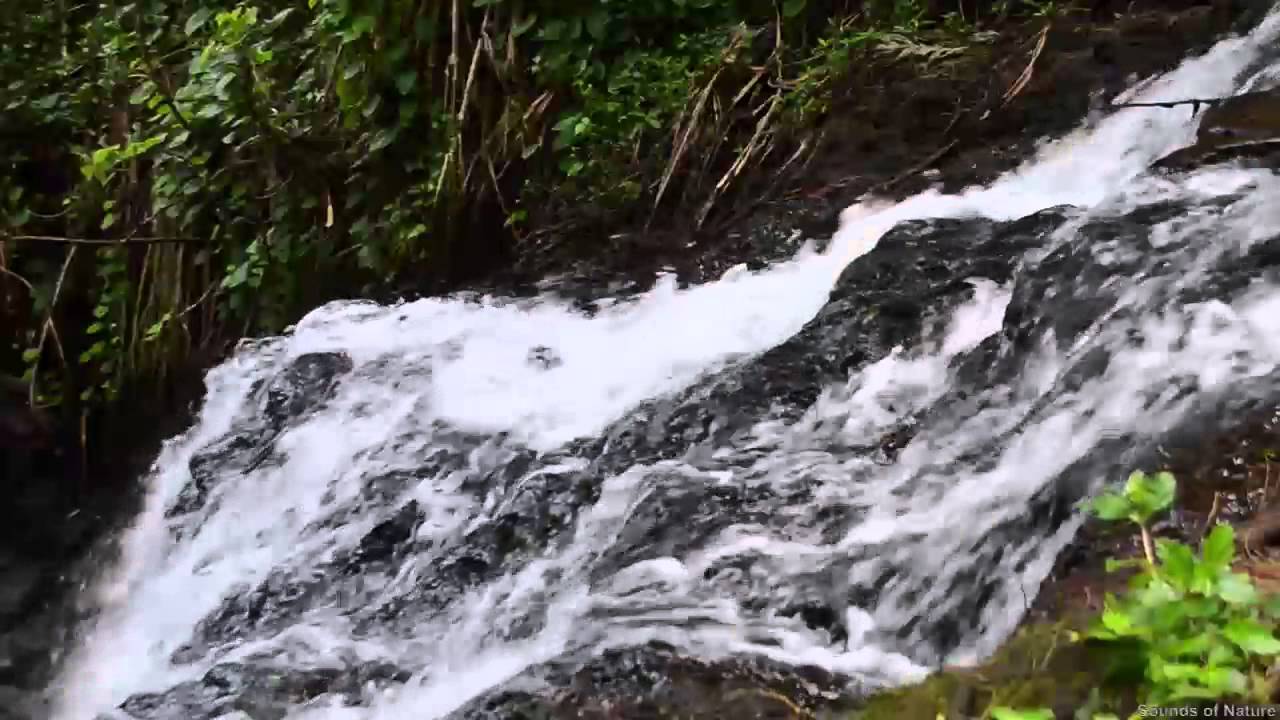 watershed Small Hawaiian Waterfall - Sounds of Nature - Relax, Sleep Better, Meditate