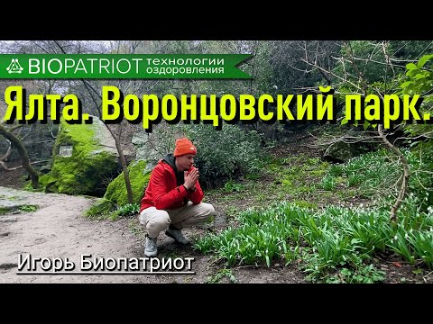 Ялта. Воронцовский парк.