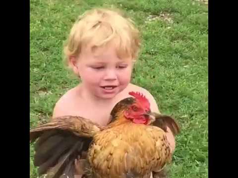 Çocuklar ve tavuklar | KOMİK