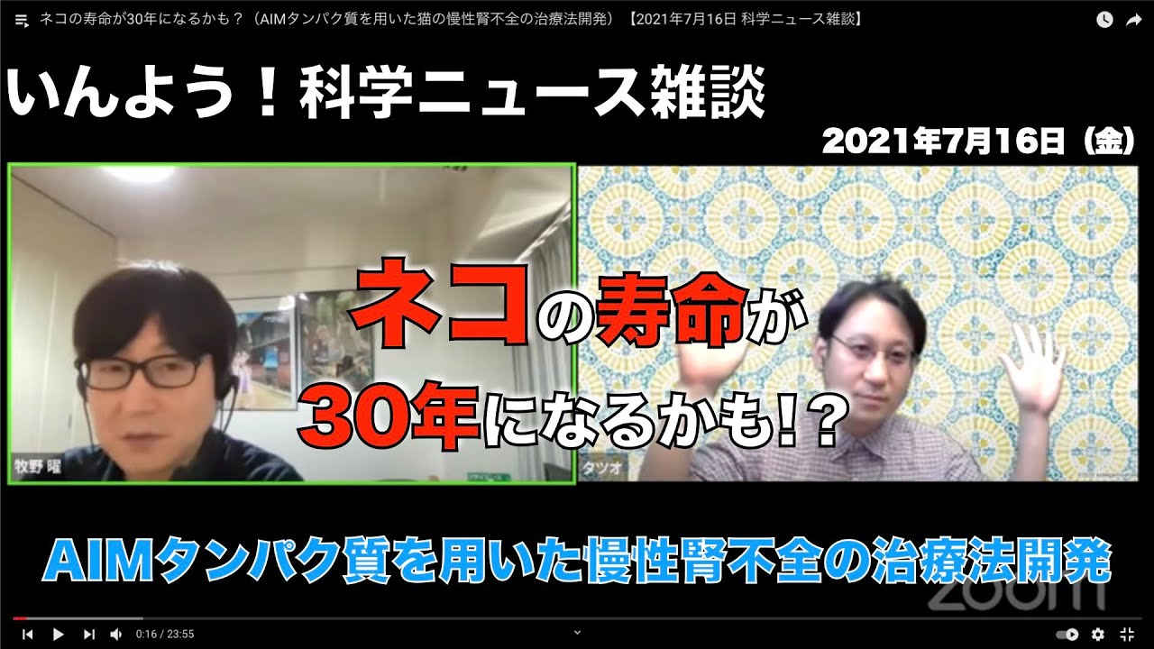 ネコの寿命が30年になるかも Aimタンパク質を用いた慢性腎不全の治療法開発 2021年7月16日 科学ニュース雑談 Youtube