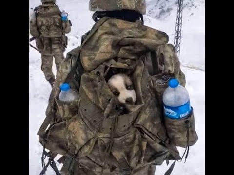 მებრძოლის ჩანაწერები 01