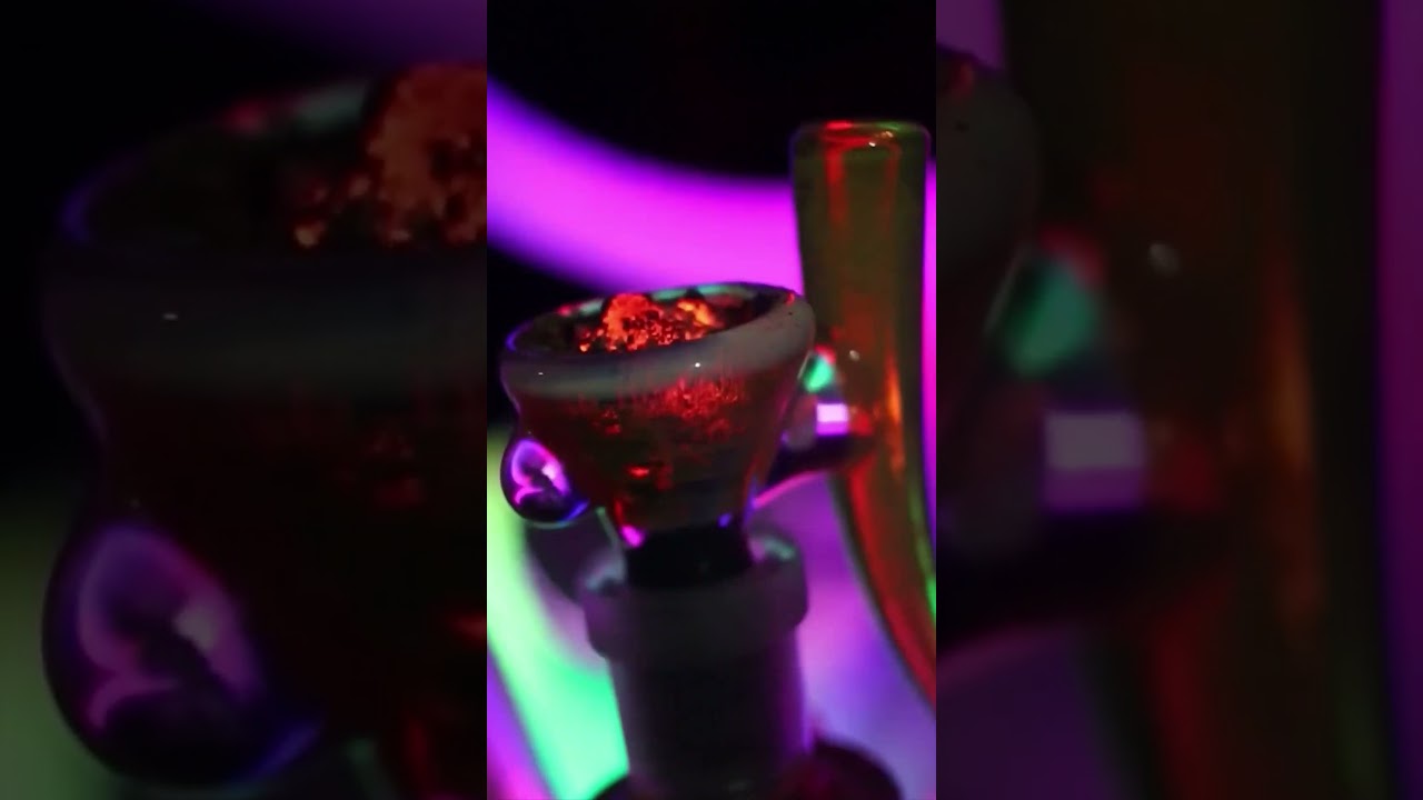 T-Rex glass slide 🇨🇦