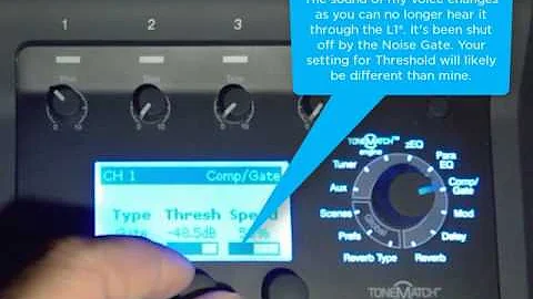 Bose T1®/T4S/T8S TonemMatch® mixer Noise Gate