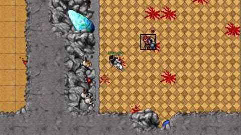 Tibia - Greenhorn Arena