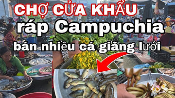 Khám phá "CHỢ CỬA KHẨU THƯỜNG PHƯỚC" bán rất nhiều cá đồng, bông điên điễn, bông súng?
